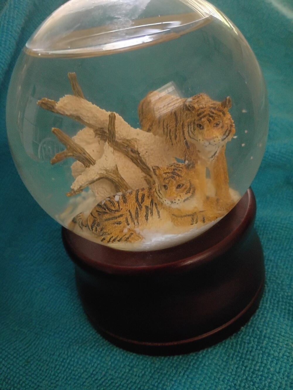 National Geographic 1996 Vintage Amber/ Brown Tiger Family Snow Globe Music Box